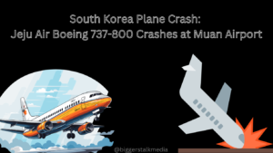 Read more about the article Tragic South Korea Plane Crash at Muan Airport : 100 Plus  feared dead